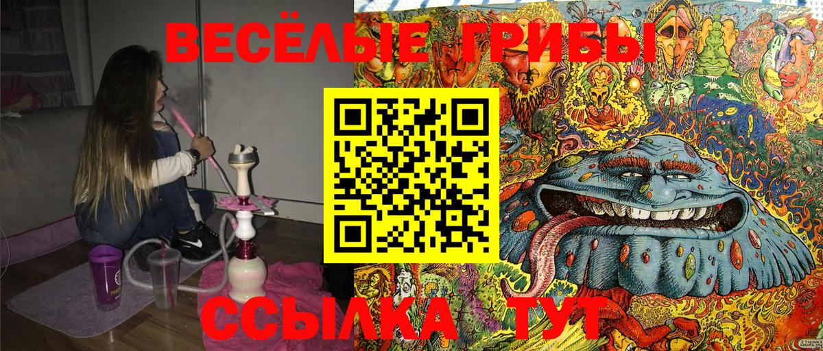 Галлюциногенные грибы мухоморы Чусовой